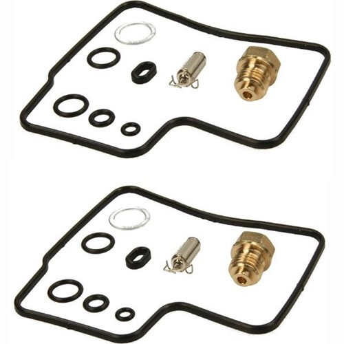 Carburetor repair kit - 2, x