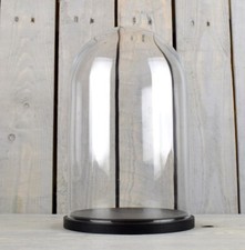 Glass Dome Cover Cloche Display With Black Wooden Base