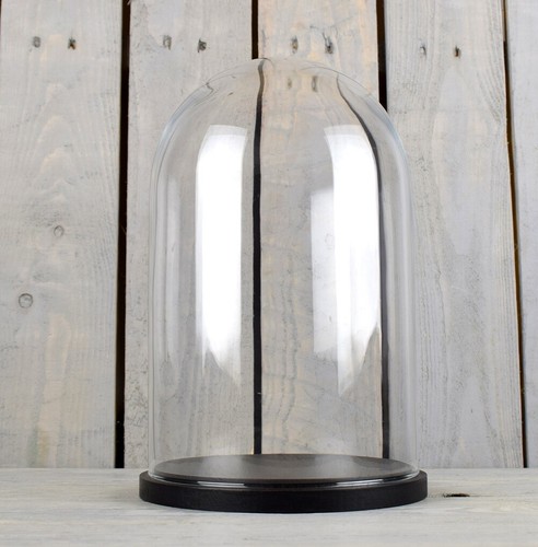 Glass dome cover cloche - glass,