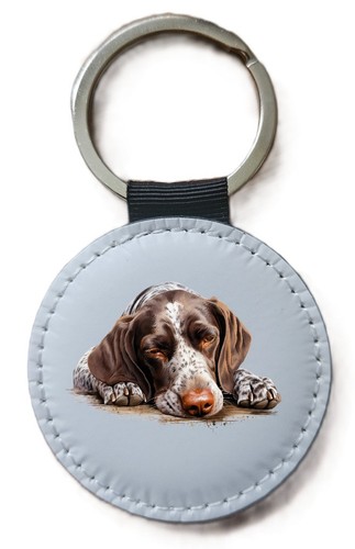 German shorthaired pointer - german,