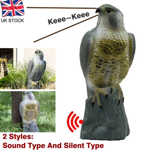 Decoy hawk garden bird - garden,