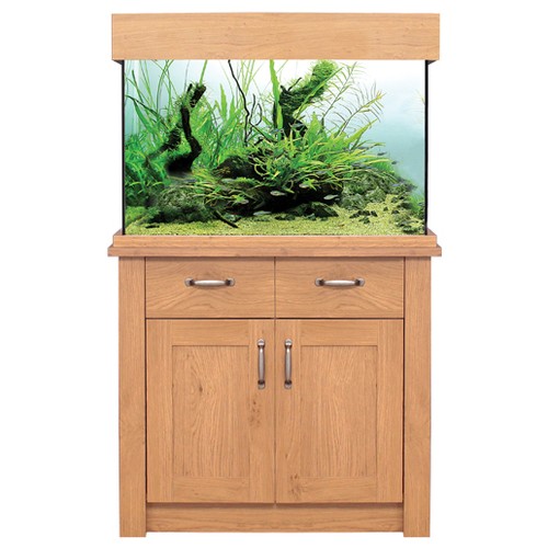 Oak style aquarium fish - oak,