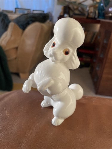 Poodle kitsch royal - poodle,