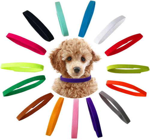 Pcs puppy collars - pcs,