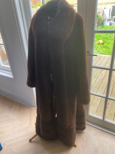 Beaver fur winter - , long