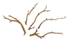 Aquarium Manzanita Branchy