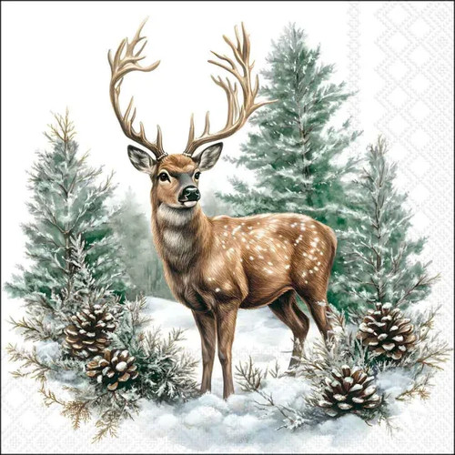 Winter stag forest - winter,