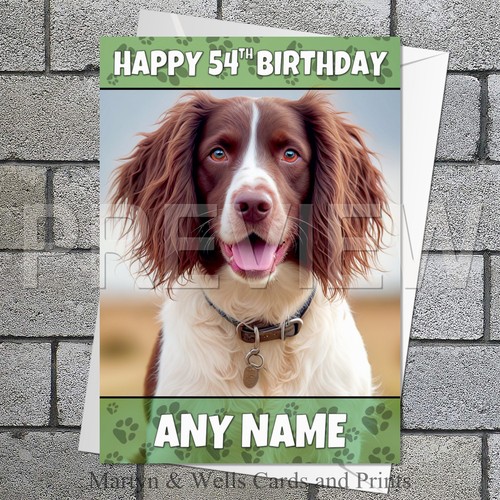 Springer spaniel birthday - spaniel,
