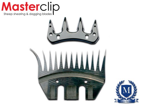 Masterclip shearing sheep - sheep, &