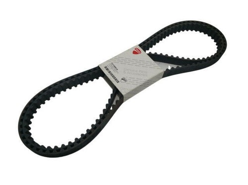 Ducati timing belts - ducati, 73710051a