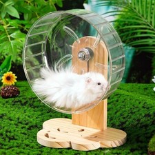 Transparent Hamster Exercise