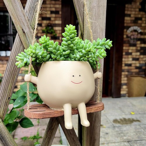 Hanging plant pots landen - plant,