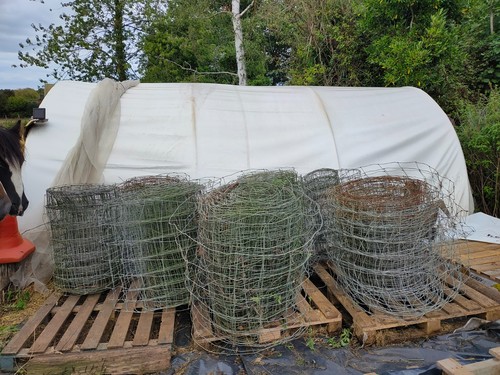 Pig sheep stock - fencing, wire
