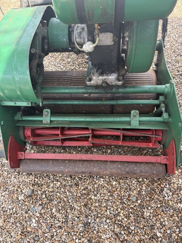 Dennis paragon fine cut - fine,