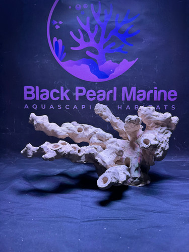 Bpm scape nano - bpm, #072612|