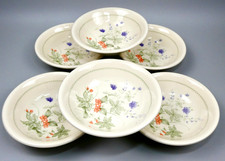 Staffordshire Country Lane