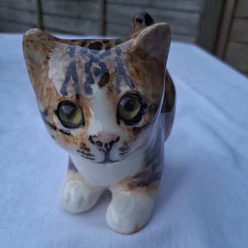 Winstanley tabby cat size - cat,
