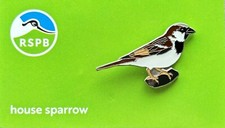 RSPB Pin Badge House Sparrow