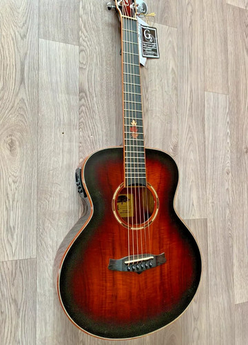 Tanglewood twx1ek travel - tanglewood,