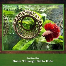 Betta Fish Cave Hammock