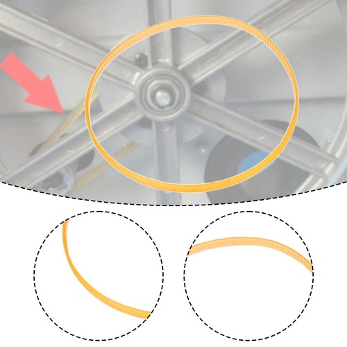 Treadmill drive belt - treadmill,