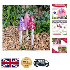 Unique Handcrafted Ceramic