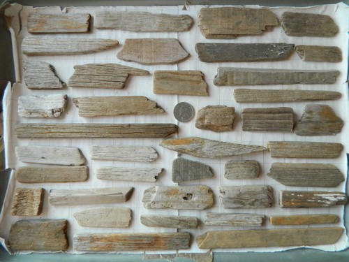Driftwood pieces flat one - one, side