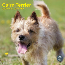 Cairn Terrier Calendar 2026