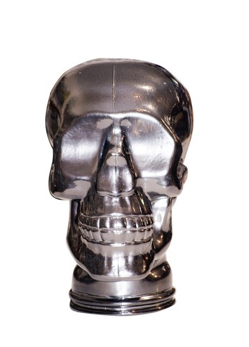 Glass skull display head - head,