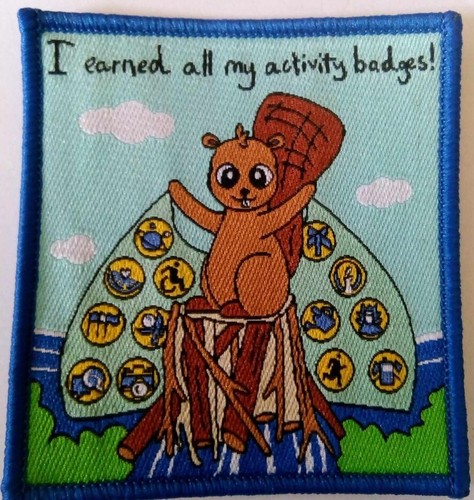 Scout beaver activity badges - scout,