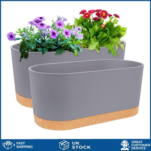 Modern self watering - modern, window