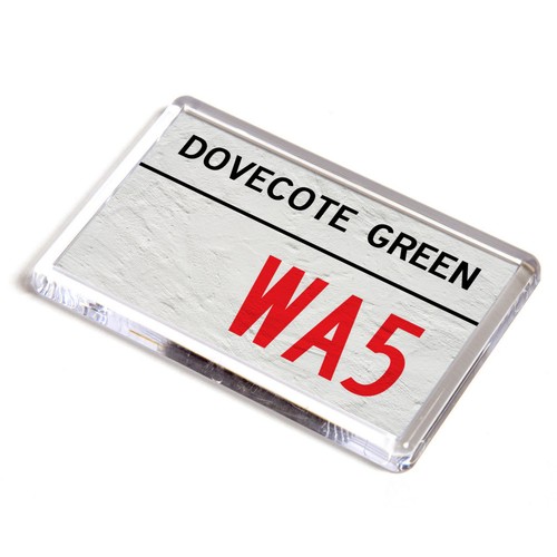 Fridge magnet dovecote - dovecote, green