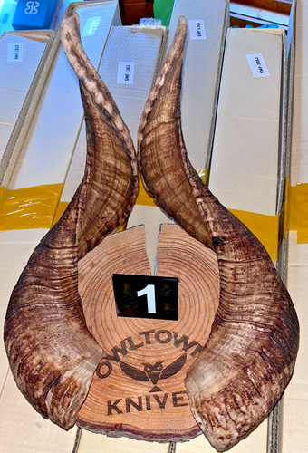 Matched pair two - #1,