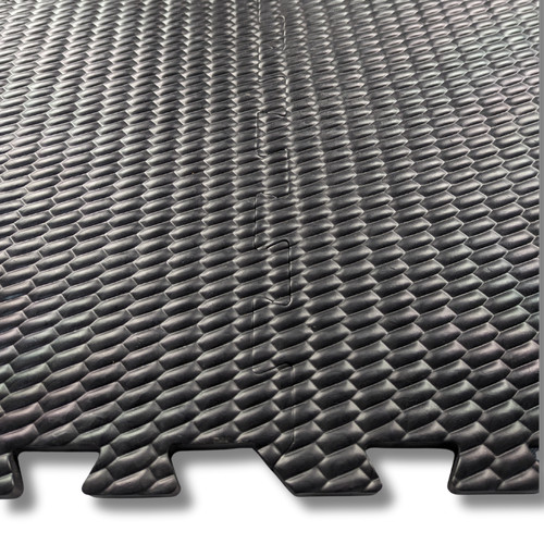 Horse stable floor - horse,
