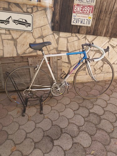Wilier triestina shimano - 53, x