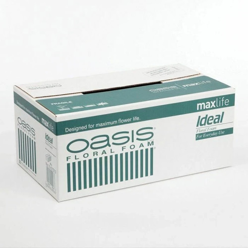 Oasis ideal green wet foam - green,