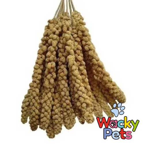 Millet sprays best quality - best,