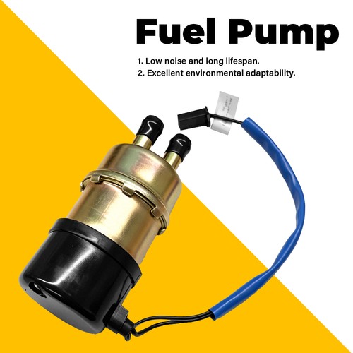 Fuel pump outside 10mm - fuel,