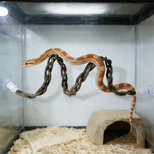 Simulated tree vine snake - tree,