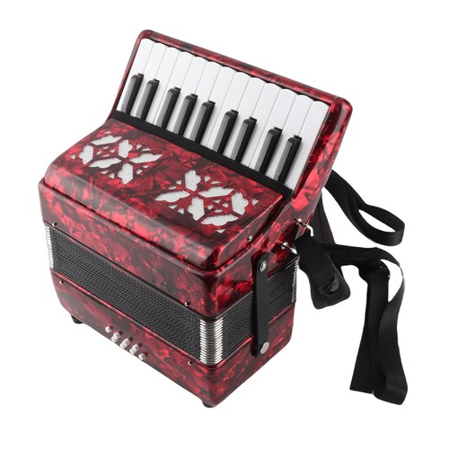Irin accordion piano bass - irin, 22