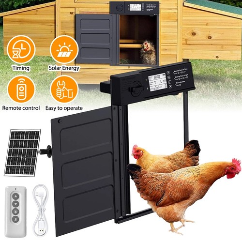 Automatic chicken door - automatic,