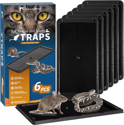 Pack mouse glue traps large - mouse,