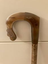 OX  Horn crook handle Walking