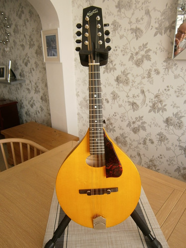 Immaculate northfield - an,