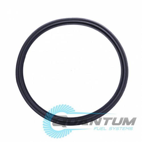 Quantum fuel pump - fuel, seal