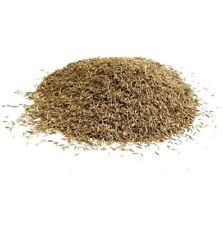 LAWN GRASS SEED 2KG SHADY AREA