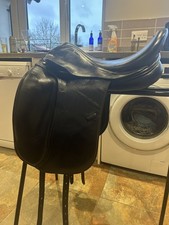 Harry Dabbs Platinum Dressage