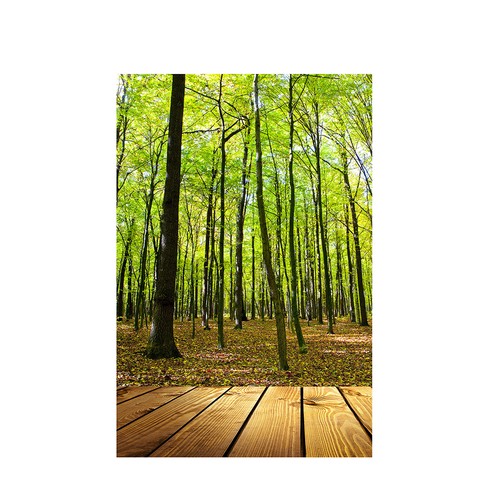 Vertical forest photography - forest,