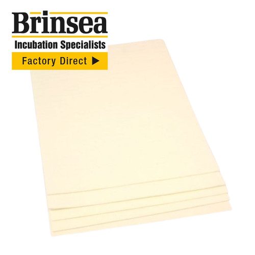 Brinsea humidity evaporating - humidity,