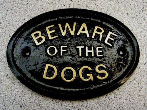 Beware the dog - the,